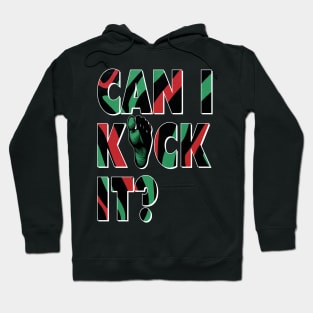 Can I Kick It? - Typography Hoodie